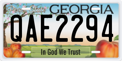 GA license plate QAE2294