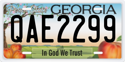 GA license plate QAE2299