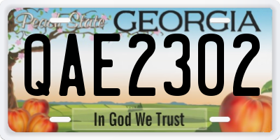 GA license plate QAE2302