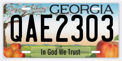 GA license plate QAE2303