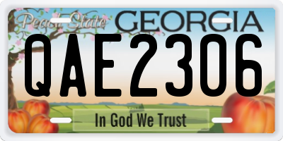 GA license plate QAE2306