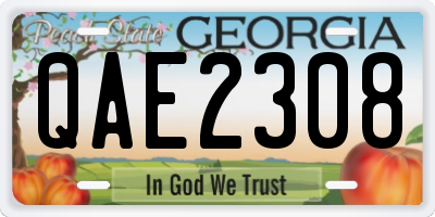GA license plate QAE2308