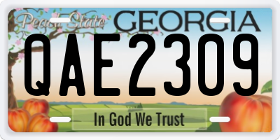 GA license plate QAE2309