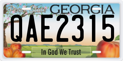 GA license plate QAE2315