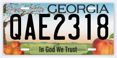 GA license plate QAE2318