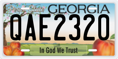 GA license plate QAE2320