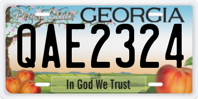 GA license plate QAE2324
