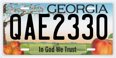 GA license plate QAE2330