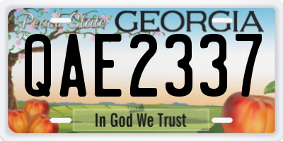 GA license plate QAE2337