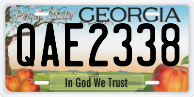 GA license plate QAE2338