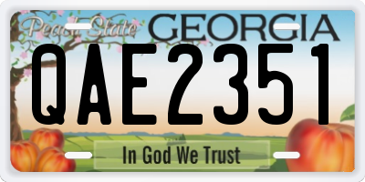 GA license plate QAE2351