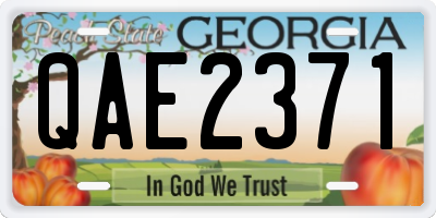 GA license plate QAE2371