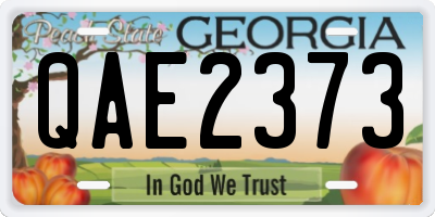 GA license plate QAE2373