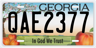 GA license plate QAE2377