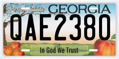 GA license plate QAE2380