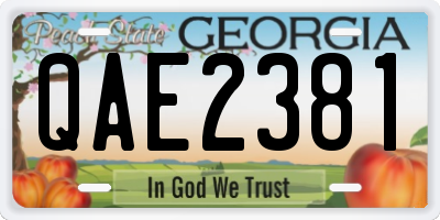 GA license plate QAE2381