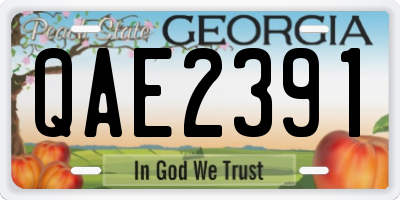 GA license plate QAE2391