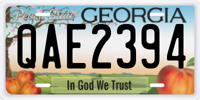 GA license plate QAE2394
