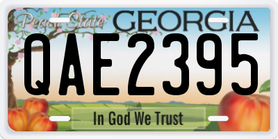 GA license plate QAE2395