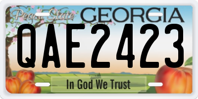GA license plate QAE2423
