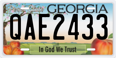 GA license plate QAE2433