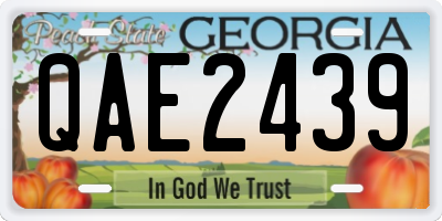GA license plate QAE2439