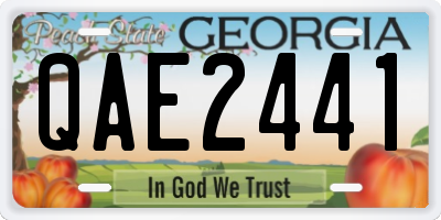 GA license plate QAE2441