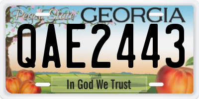 GA license plate QAE2443