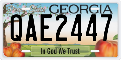 GA license plate QAE2447