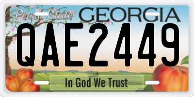 GA license plate QAE2449