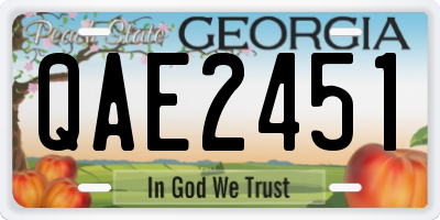 GA license plate QAE2451