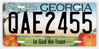 GA license plate QAE2455