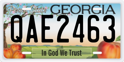 GA license plate QAE2463
