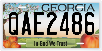 GA license plate QAE2486