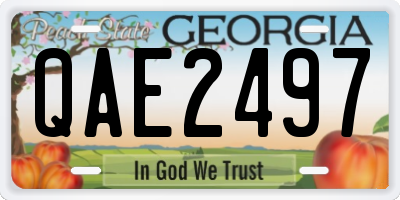 GA license plate QAE2497
