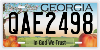 GA license plate QAE2498