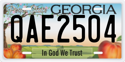 GA license plate QAE2504