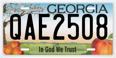 GA license plate QAE2508