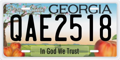 GA license plate QAE2518