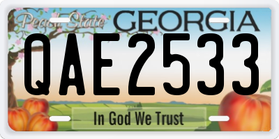 GA license plate QAE2533