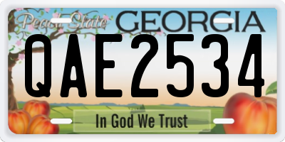 GA license plate QAE2534