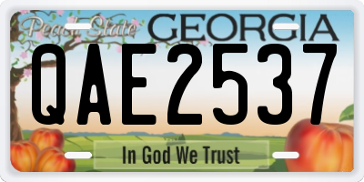 GA license plate QAE2537