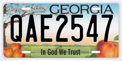 GA license plate QAE2547