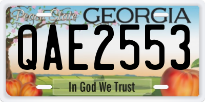 GA license plate QAE2553