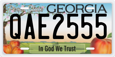 GA license plate QAE2555