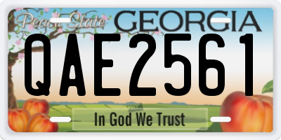 GA license plate QAE2561