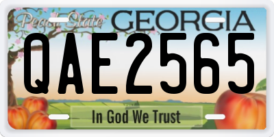 GA license plate QAE2565