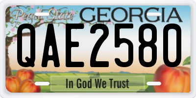 GA license plate QAE2580
