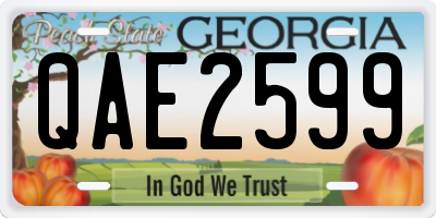 GA license plate QAE2599