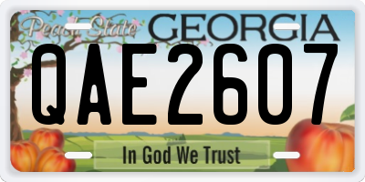 GA license plate QAE2607